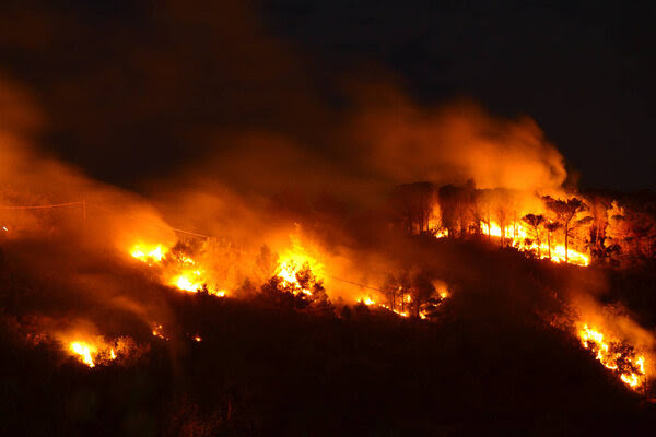 Raging wildfire at night