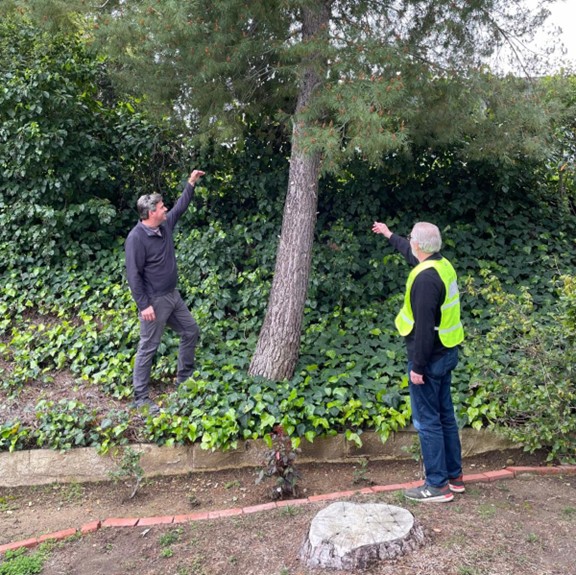 two men examining the plants and trees surrounding a home