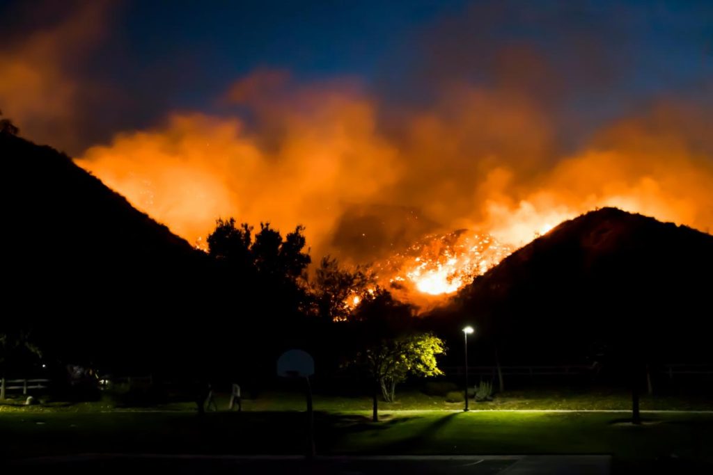 burning wildfire on hillside