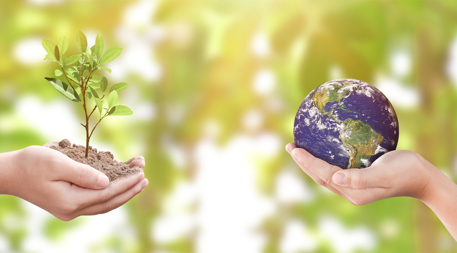 children's hands holding a seedling tree and globe of the earth