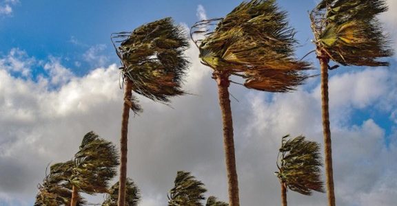 Hot, Dry Winds = Fire Risk