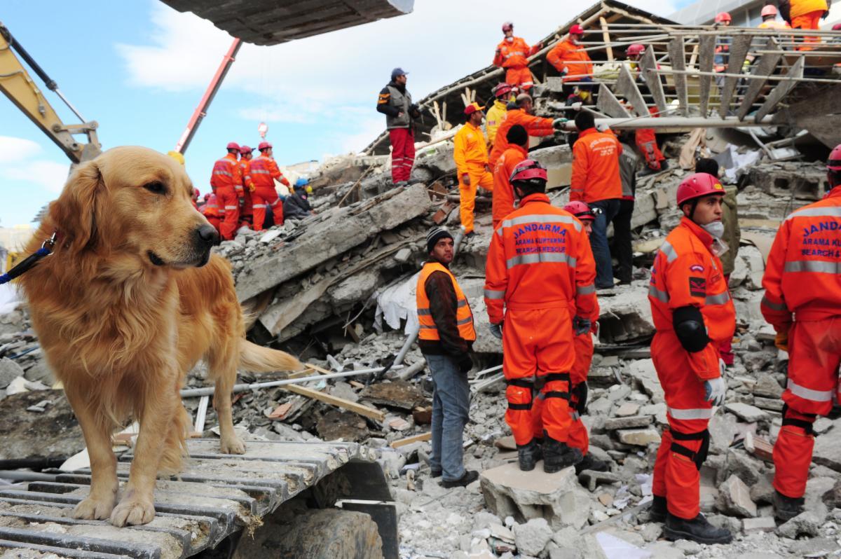 Negative Rescuer Calabasas Residents: Protect Your Home | EPIC-FSC