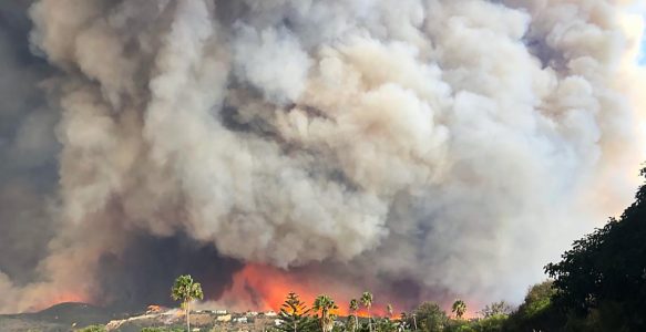 Calabasas Residents: Protect Your Home in 2023